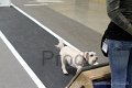 IMG_1767
