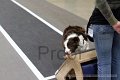 IMG_1770