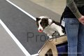 IMG_1771