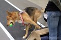 IMG_1782