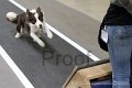 IMG_1801