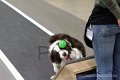 IMG_1803