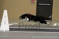 IMG_1815