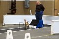 IMG_1823