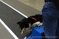IMG_1834