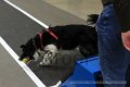 IMG_1835