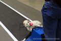IMG_1839
