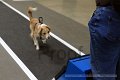 IMG_1841