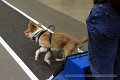 IMG_1845