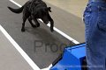 IMG_1848