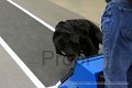 IMG_1850