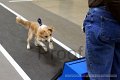 IMG_1861