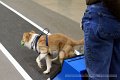 IMG_1865