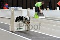 IMG_1877