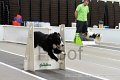 IMG_1879