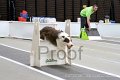 IMG_1881
