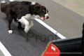 IMG_1905