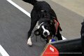 IMG_1908