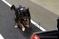 IMG_1913
