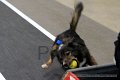 IMG_1914