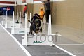 IMG_1921