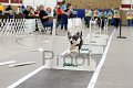 IMG_1925