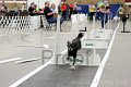 IMG_1928
