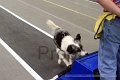 IMG_1931