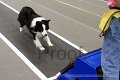 IMG_1934