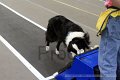 IMG_1936