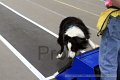 IMG_1937