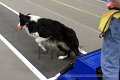 IMG_1939