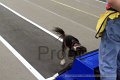 IMG_1946