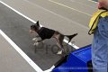 IMG_1948