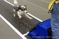 IMG_1951