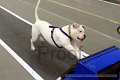 IMG_1961