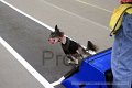 IMG_1971