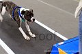 IMG_1975