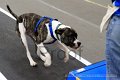 IMG_1981