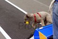 IMG_1986