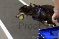 IMG_2005
