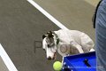 IMG_2017