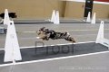 IMG_2023