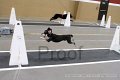 IMG_2025