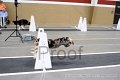 IMG_2034