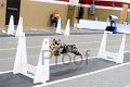 IMG_2049