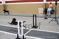 IMG_2061