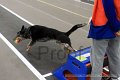 IMG_2103