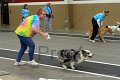 IMG_2151