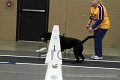 IMG_2155